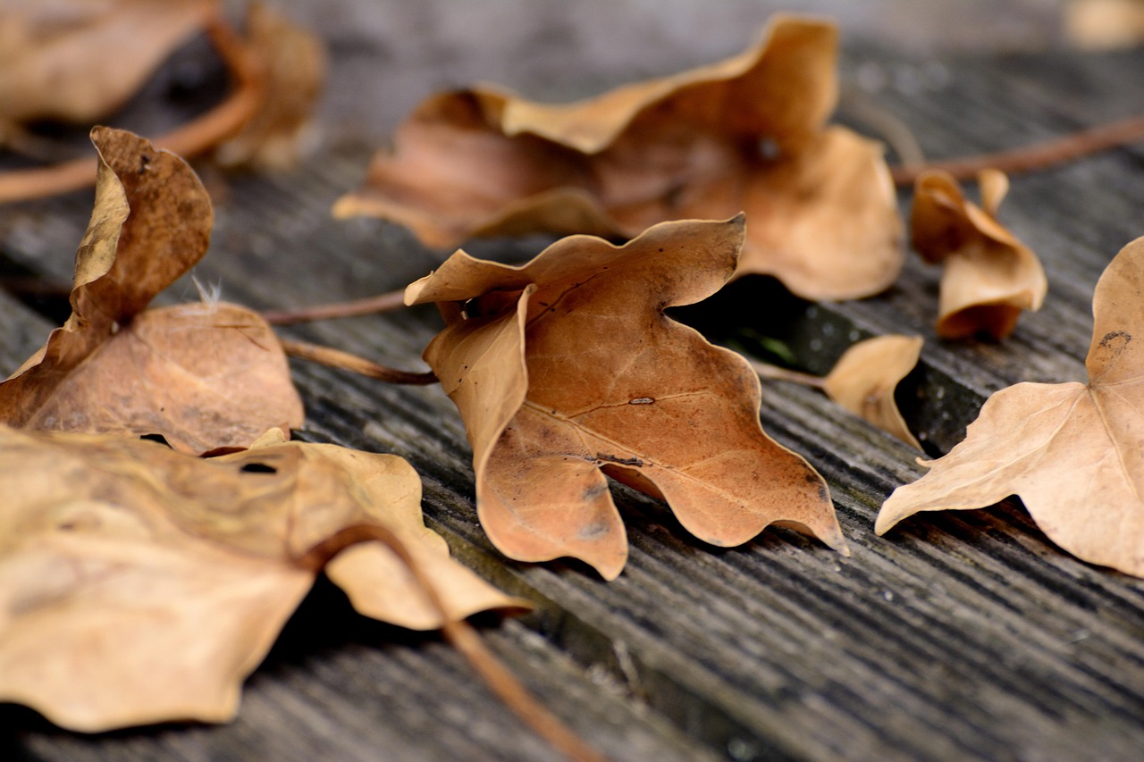 Fighting for You: November 2025 Legislative and Regulatory Update