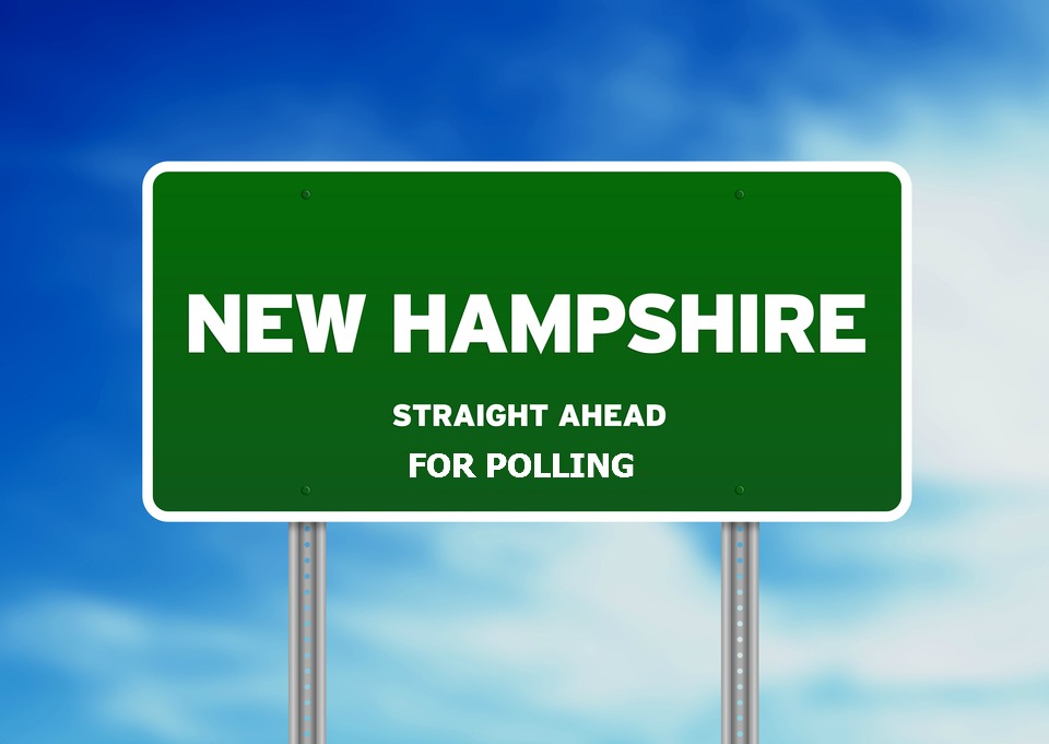New Hampshire Push Poll Law